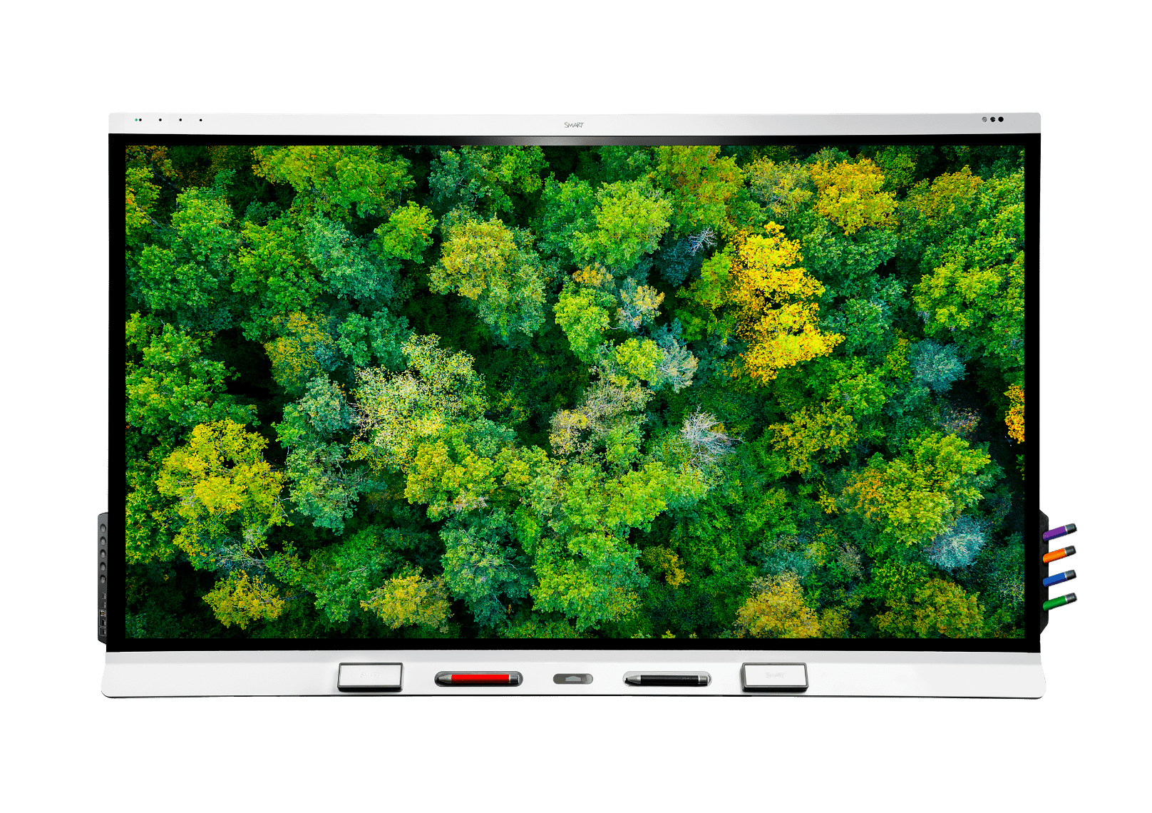 High-resolution display of a forest canopy on a SMART interactive display, emphasizing environmental awareness.